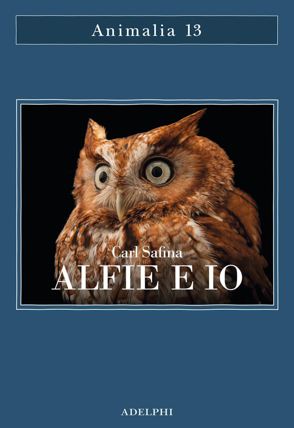 Alfie e io. Quello che i rapaci sanno, quello che gli umani credono book