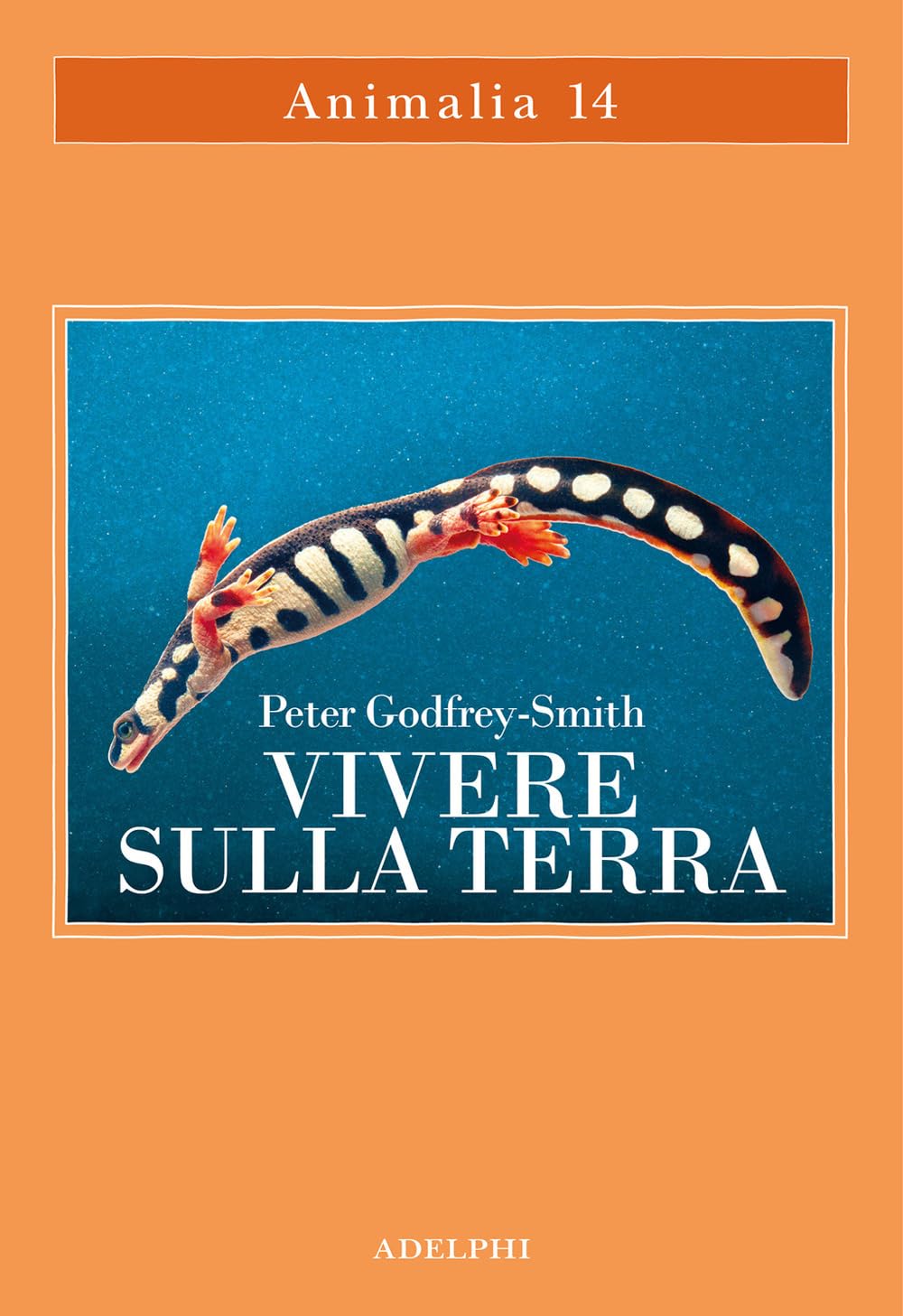 Vivere sulla terra. La vita, la coscienza e la costruzione del mondo naturale Professional & Reference Books
