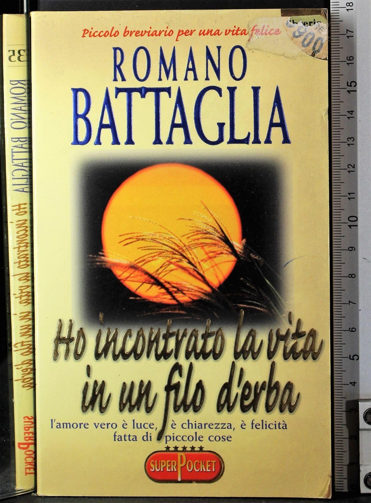 Ho incontrato la vita in un filo d'erba (Superpocket. Best seller) Contemporary literature Books