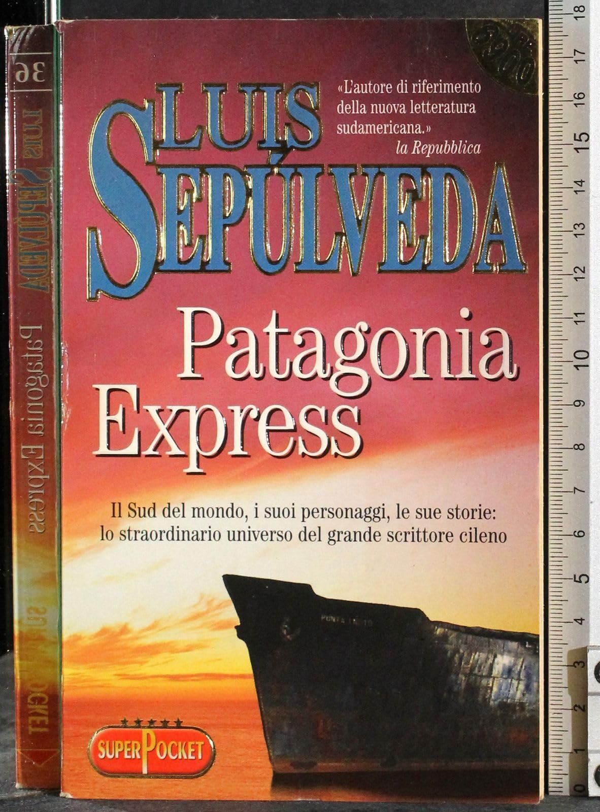Patagonia express (Superpocket. Best seller) Leisure, Home & Garden