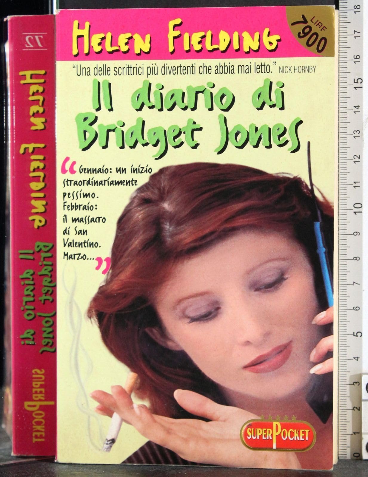 Il diario di Bridget Jones. Chili, amore e sigarette: un anno appassionatamente single book