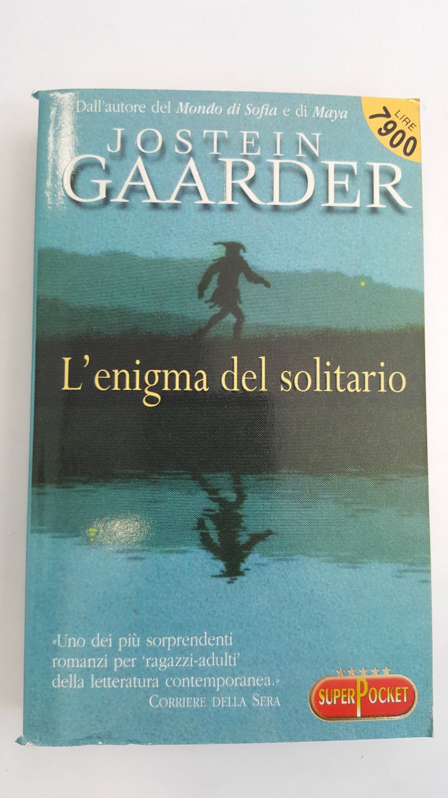 L'enigma del solitario book