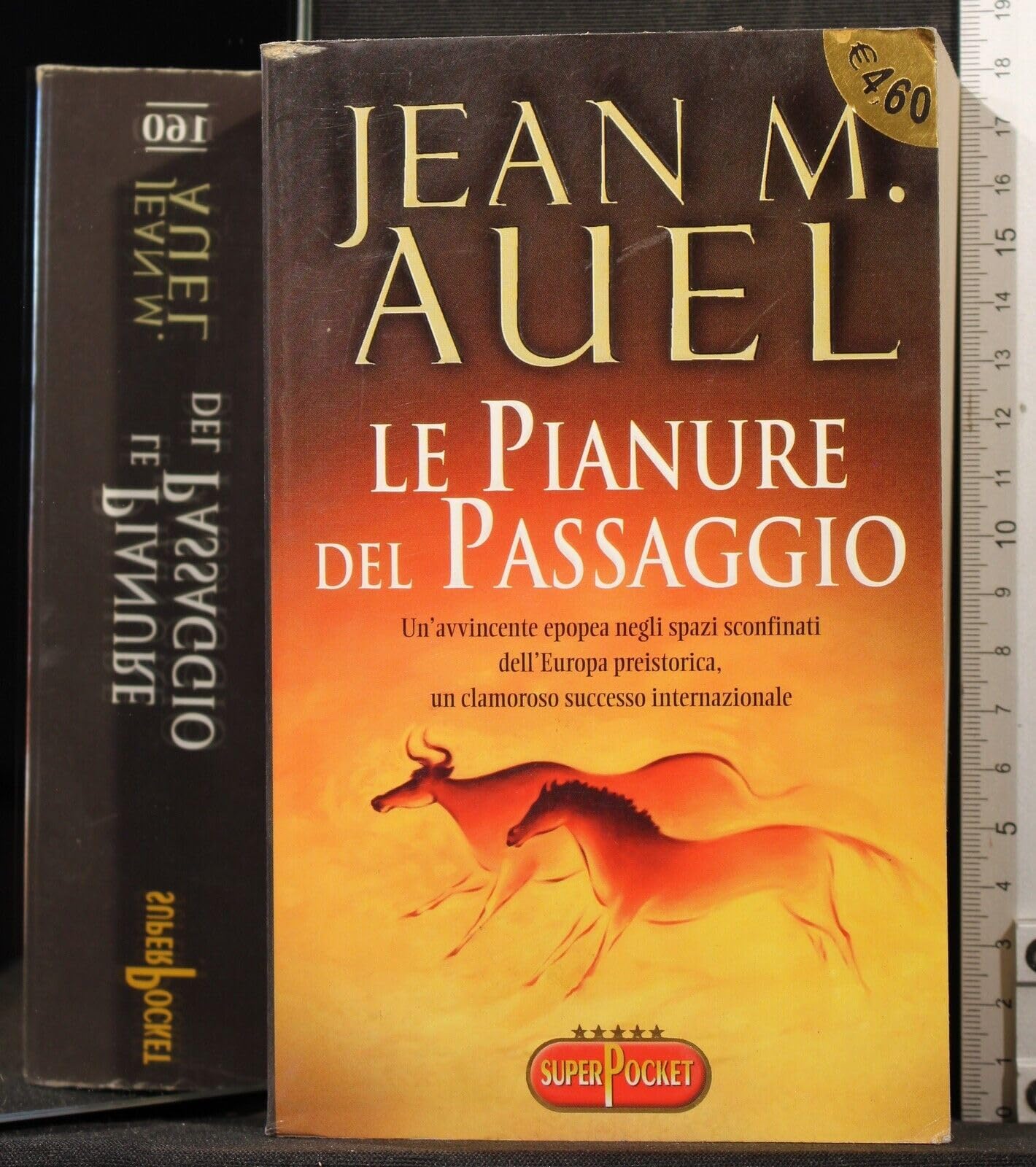 Le pianure del passaggio (Superpocket. Best seller) Historical Fiction