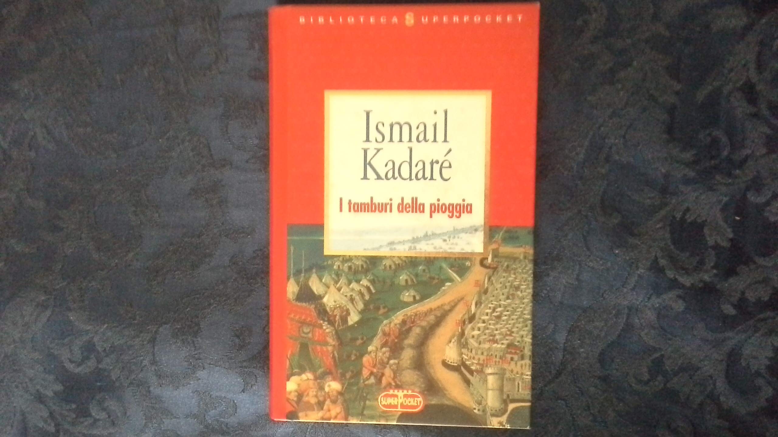 I tamburi nella pioggia book