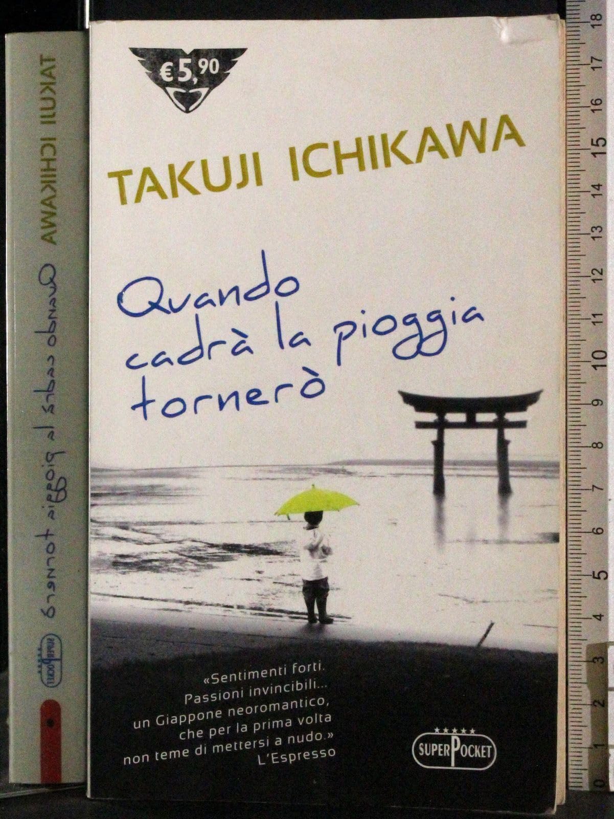 Quando cadrà la pioggia tornerò book