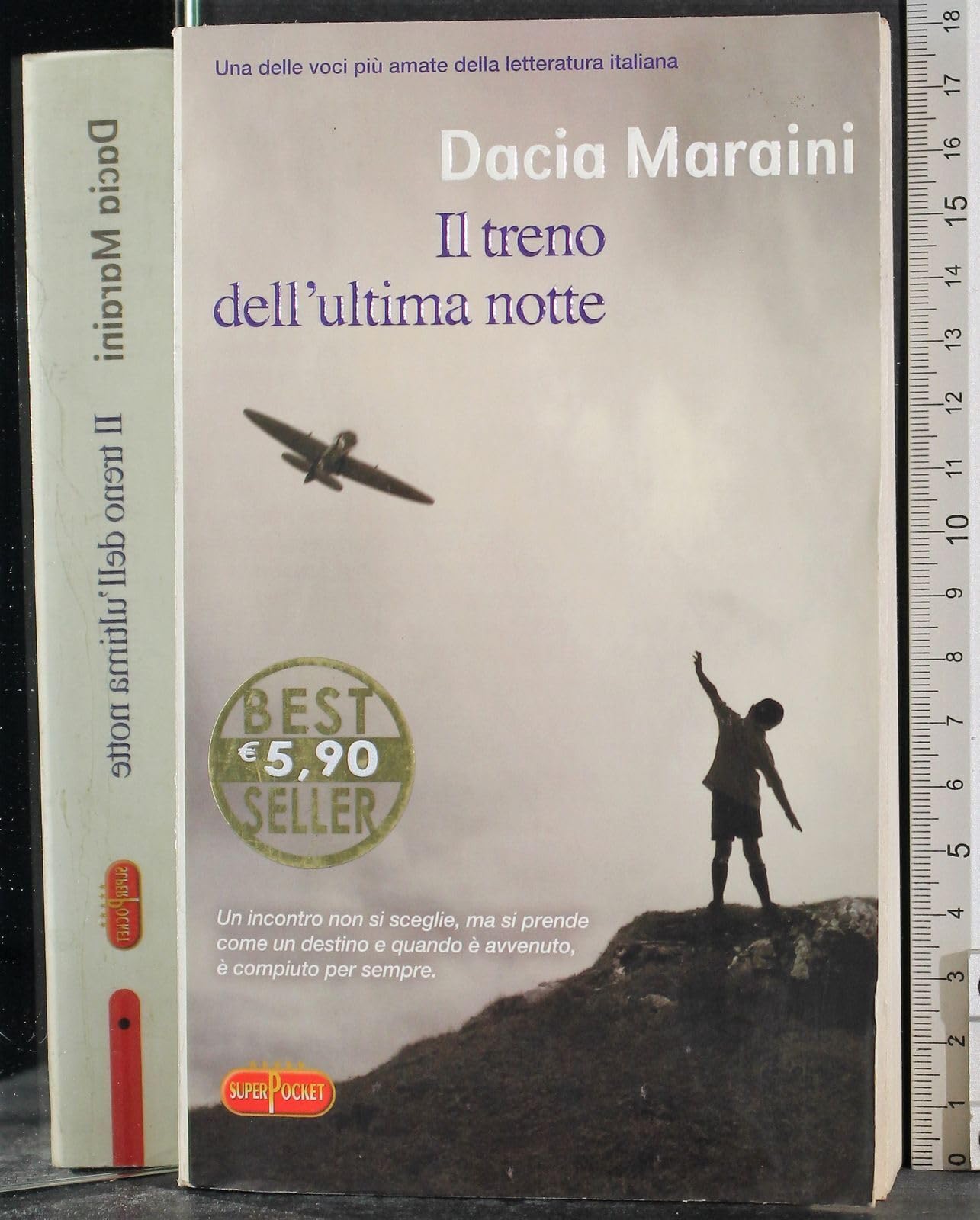 Il treno dell'ultima notte book