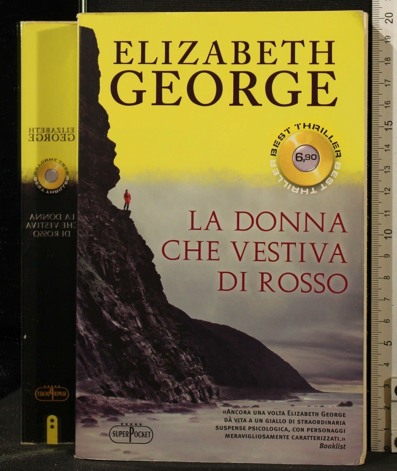La donna che vestiva di rosso book