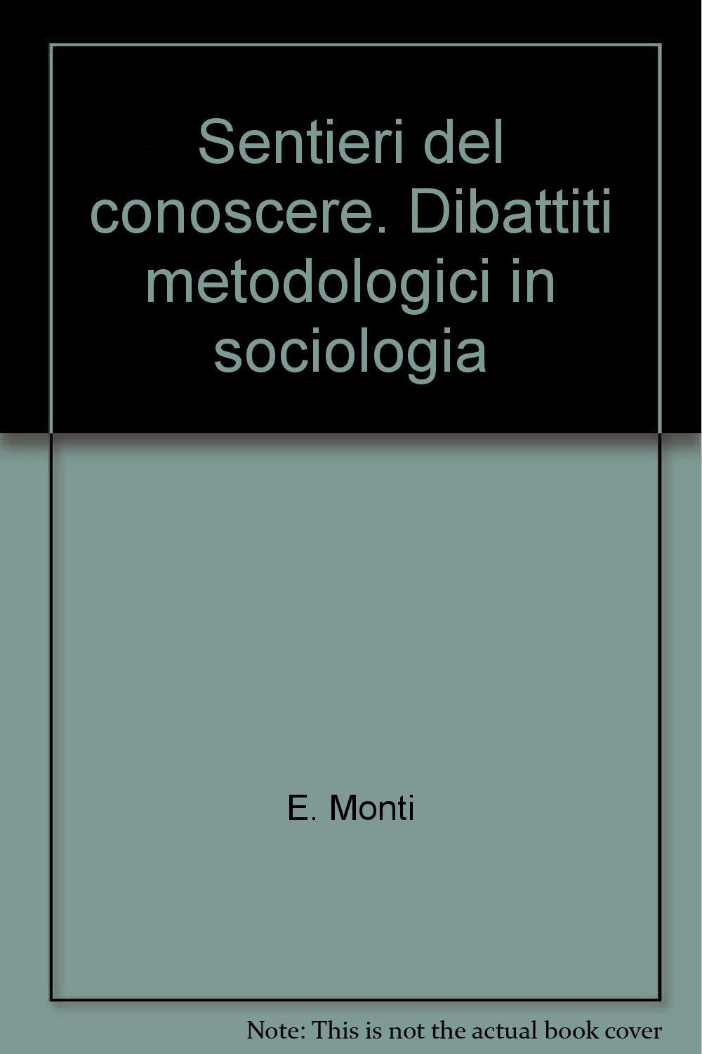 Sentieri del conoscere. Dibattiti metodologici in sociologia (Laboratorio sociologico) Social Sciences