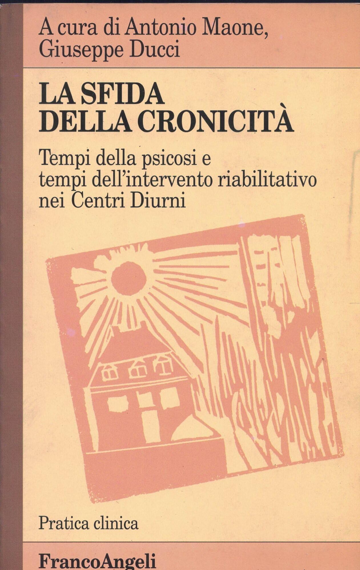 La sfida della cronicità. Tempi della psicosi e tempi dell'intervento riabilitativo nei centri diurni book