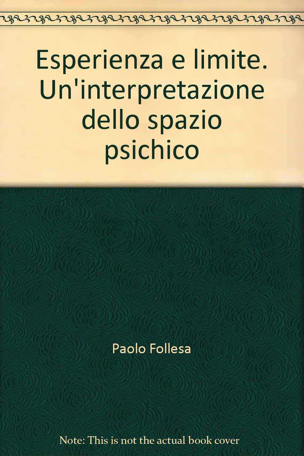 Esperienza e limite. Un'interpretazione dello spazio psichico book
