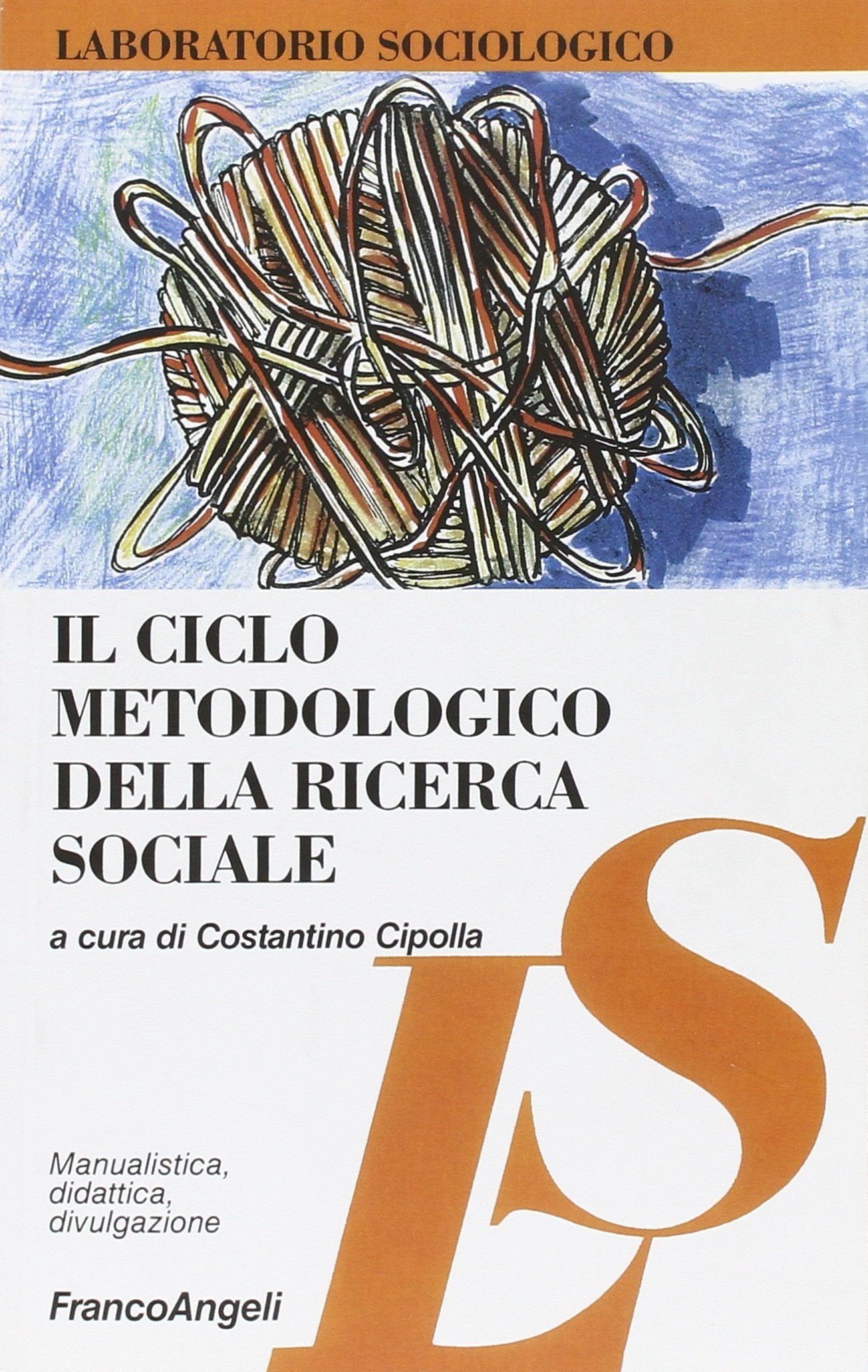 Il ciclo metodologico della ricerca sociale book
