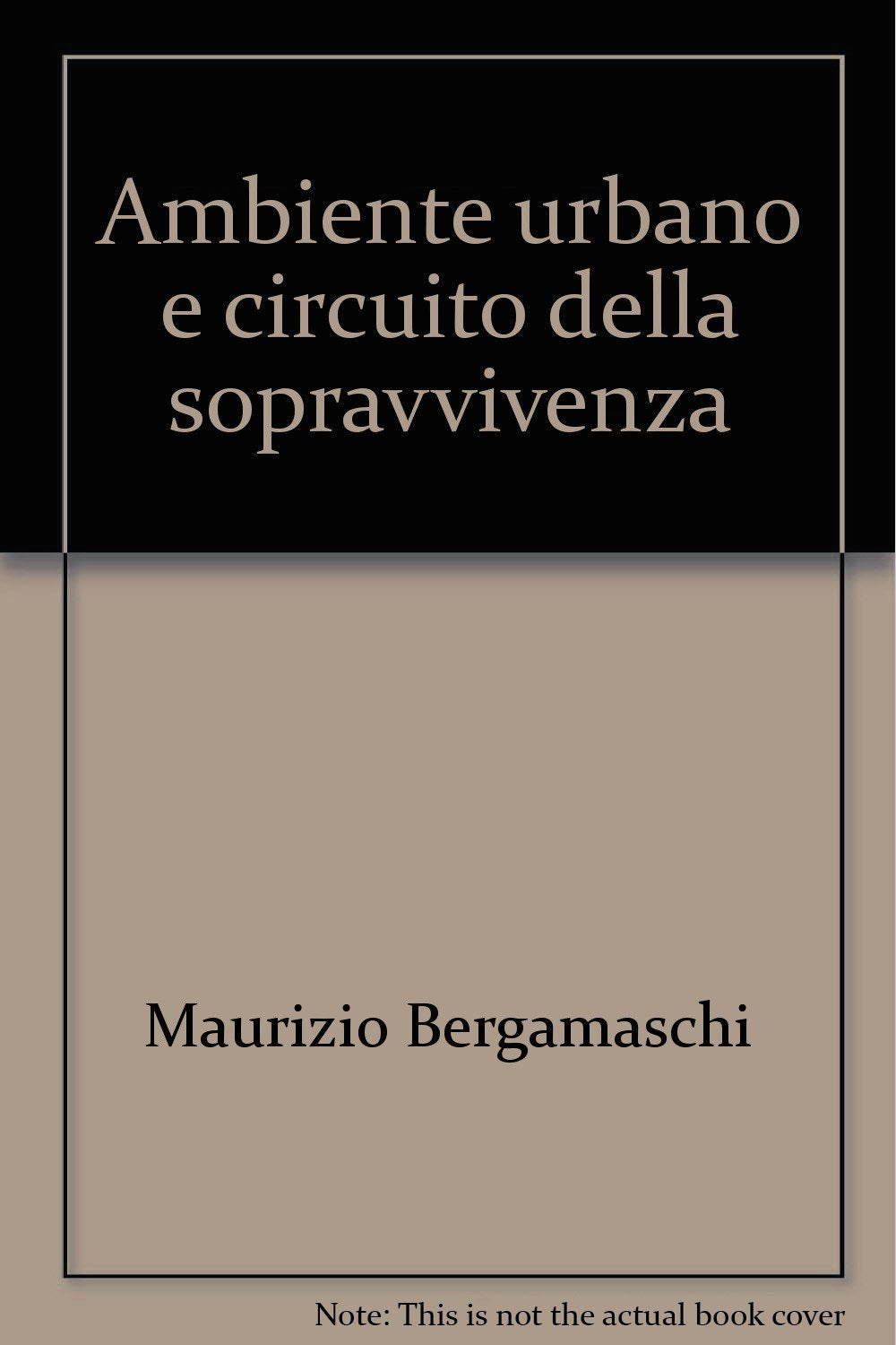 Ambiente urbano e circuito della sopravvivenza (Sociologia urbana e rurale-Sez. 3) Social Sciences