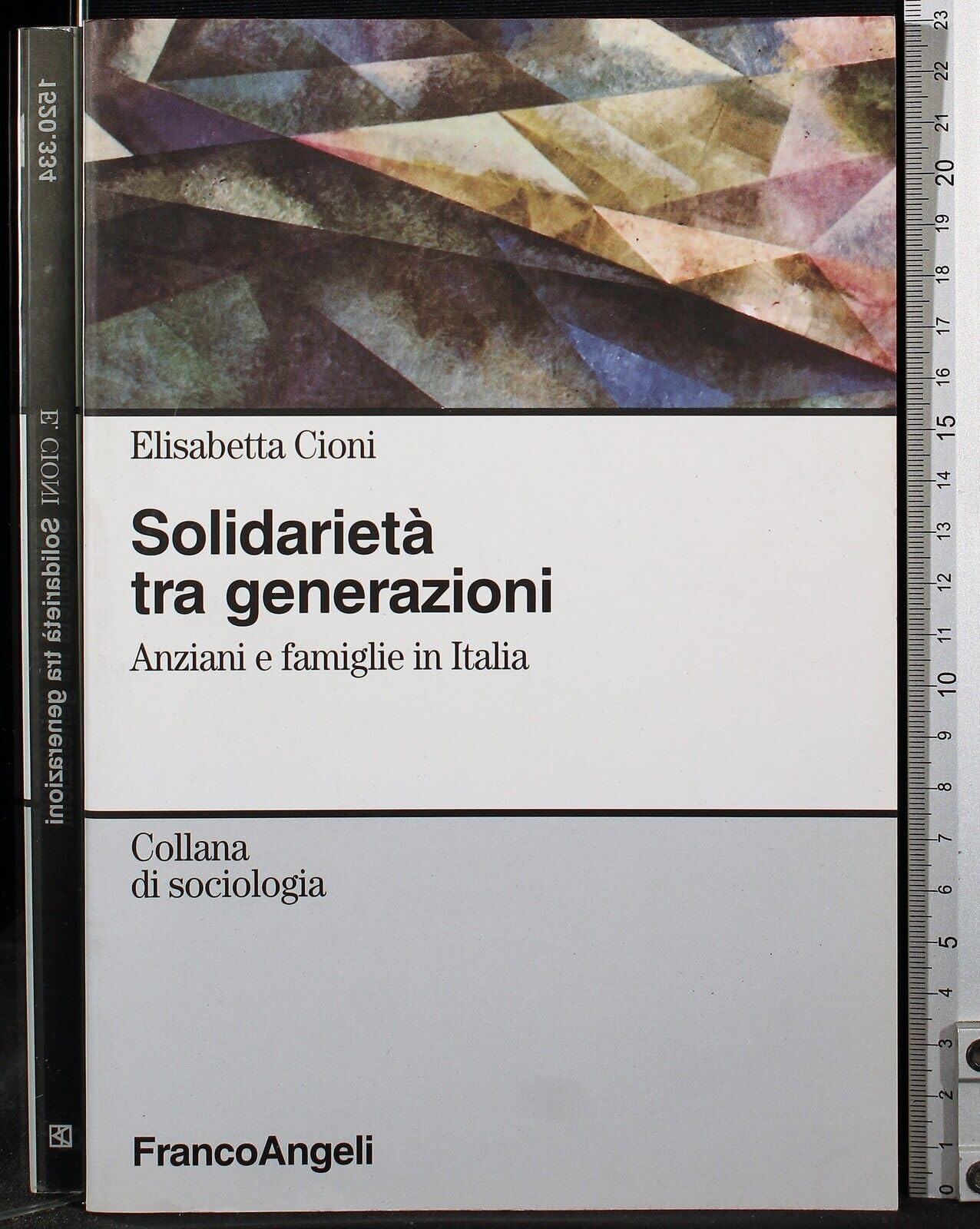 Solidarietà tra generazioni. Anziani e famiglie in Italia (Sociologia) Social Sciences