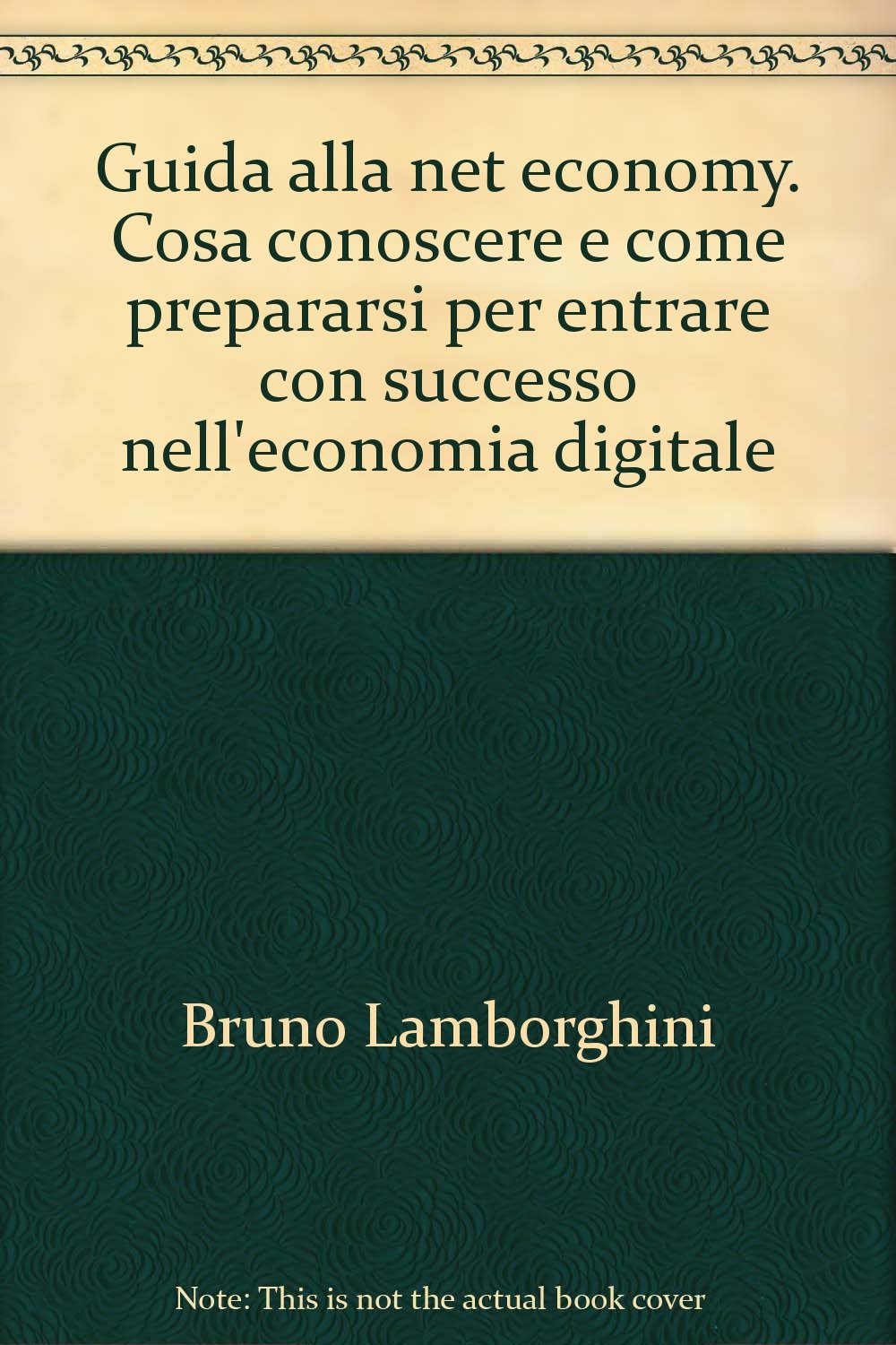 Guida alla net economy. Cosa conoscere e come prepararsi per entrare con successo nell'economia digitale book