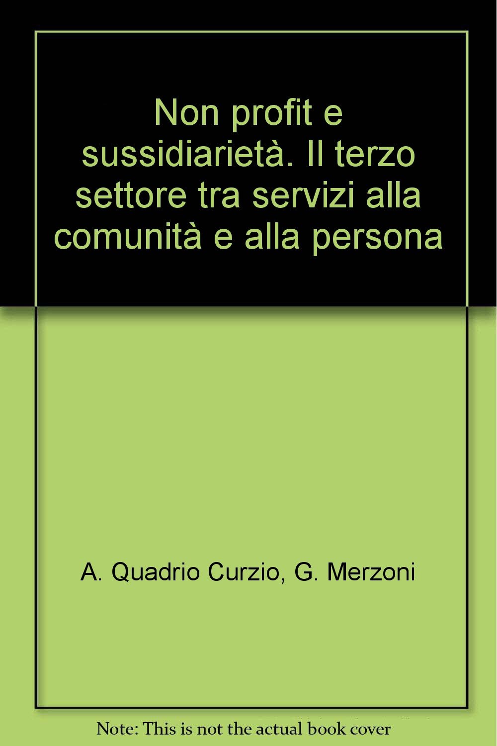 Non profit e sussidiarietà. Il terzo settore tra servizi alla comunità e alla persona (Sistemi locali e sviluppo europeo) Social Sciences