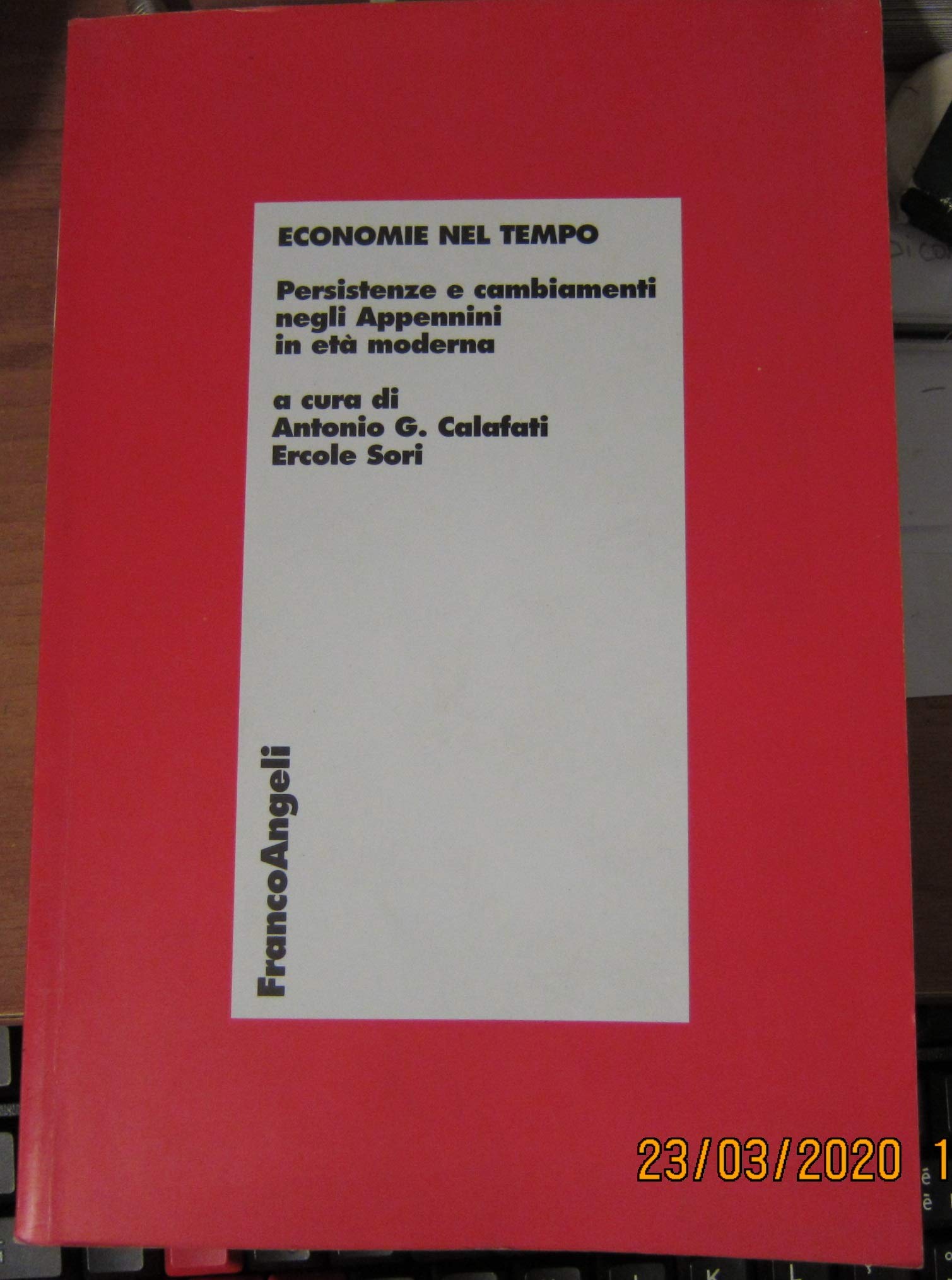 Economie nel tempo. Persistenze e cambiamenti negli Appennini in età moderna (Economia - Ricerche) Business, Finance & Career