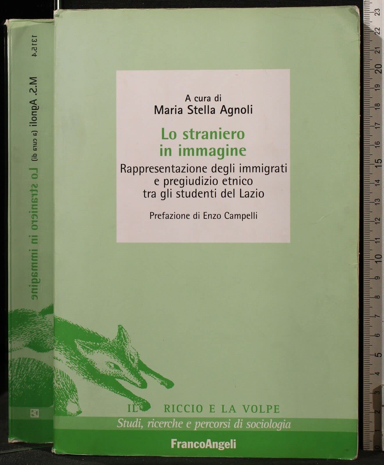 Lo straniero in immagine. Rappresentazione degli immigrati e pregiudizio etnico tra gli studenti del Lazio book