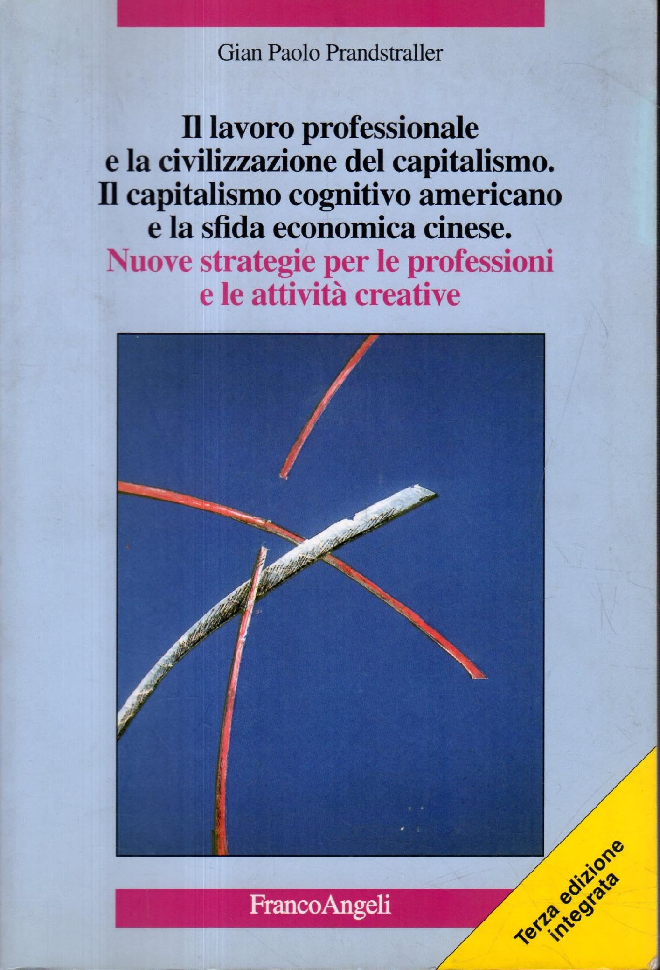 Il lavoro professionale e la civilizzazione del capitalismo. Il capitalismo cognitivo americano e la sfida economica cinese. Nuove strategie (La società) Social Sciences