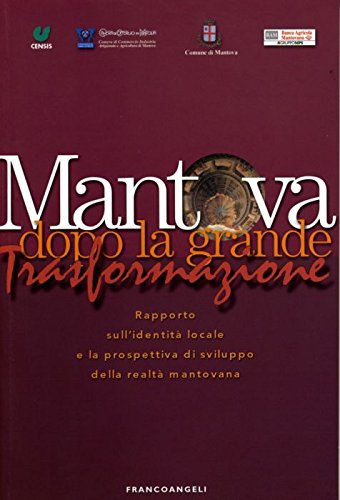 Mantova dopo la grande trasformazione. Rapporto sull'identità locale e la prospettiva di sviluppo della realtà mantovana Books