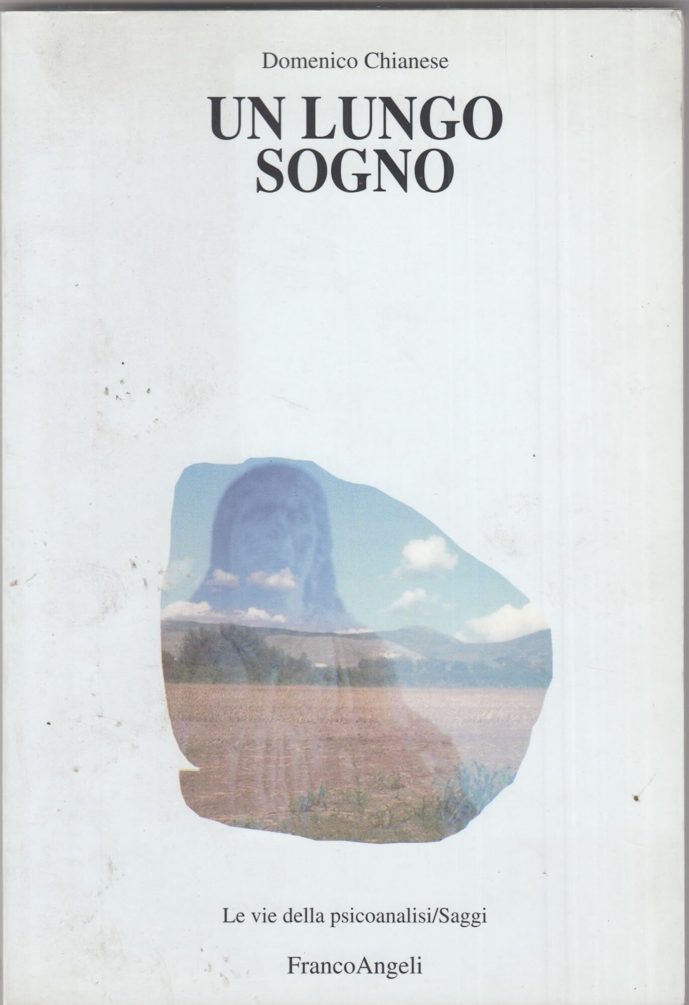 Un lungo sogno (Le vie della psicoanalisi. Saggi) Psychology