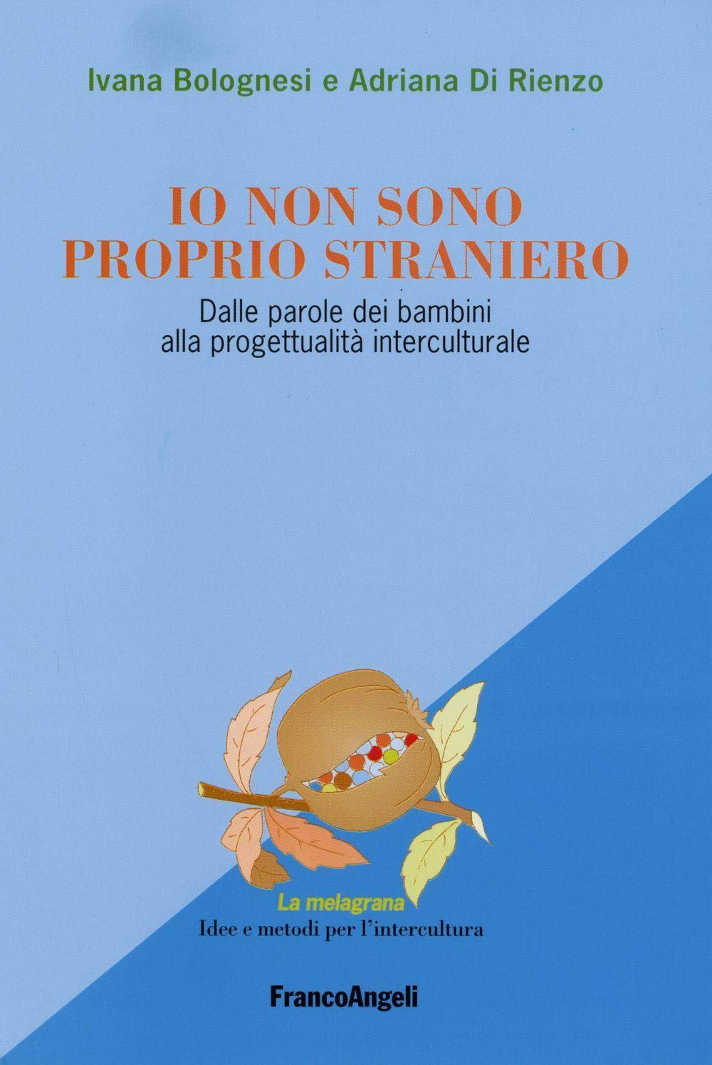 Io non sono proprio straniero. Dalle parole dei bambini alla progettualità interculturale book
