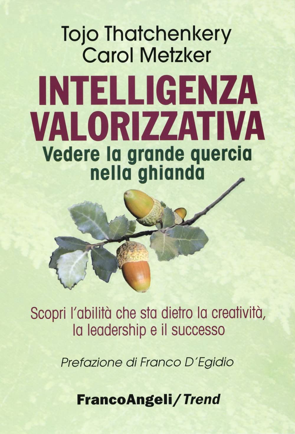 Intelligenza valorizzativa. Vedere la grande quercia nella ghianda Business, Finance & Career