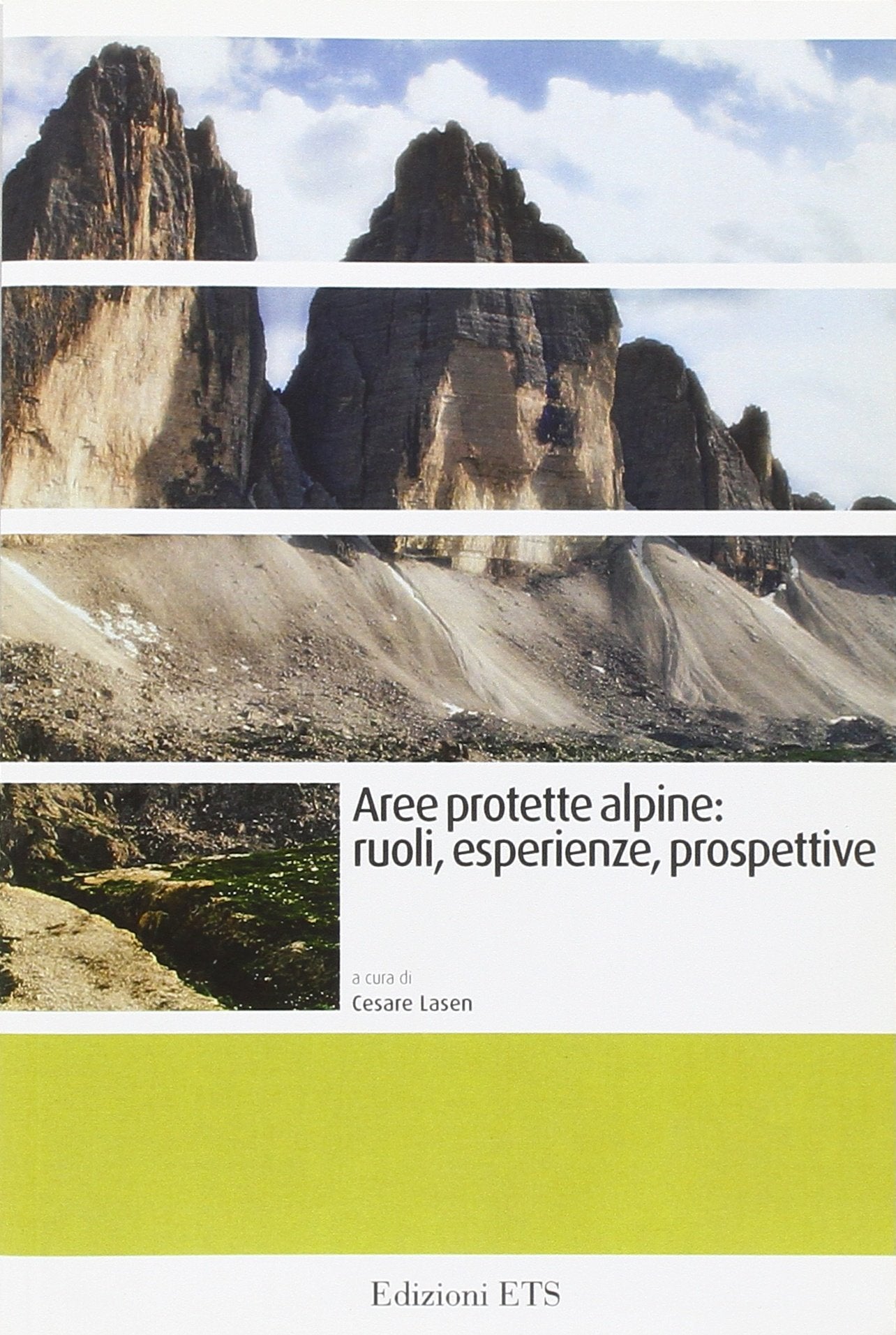 Aree protette alpine. Ruoli, esperienze, prospettive Mathematics