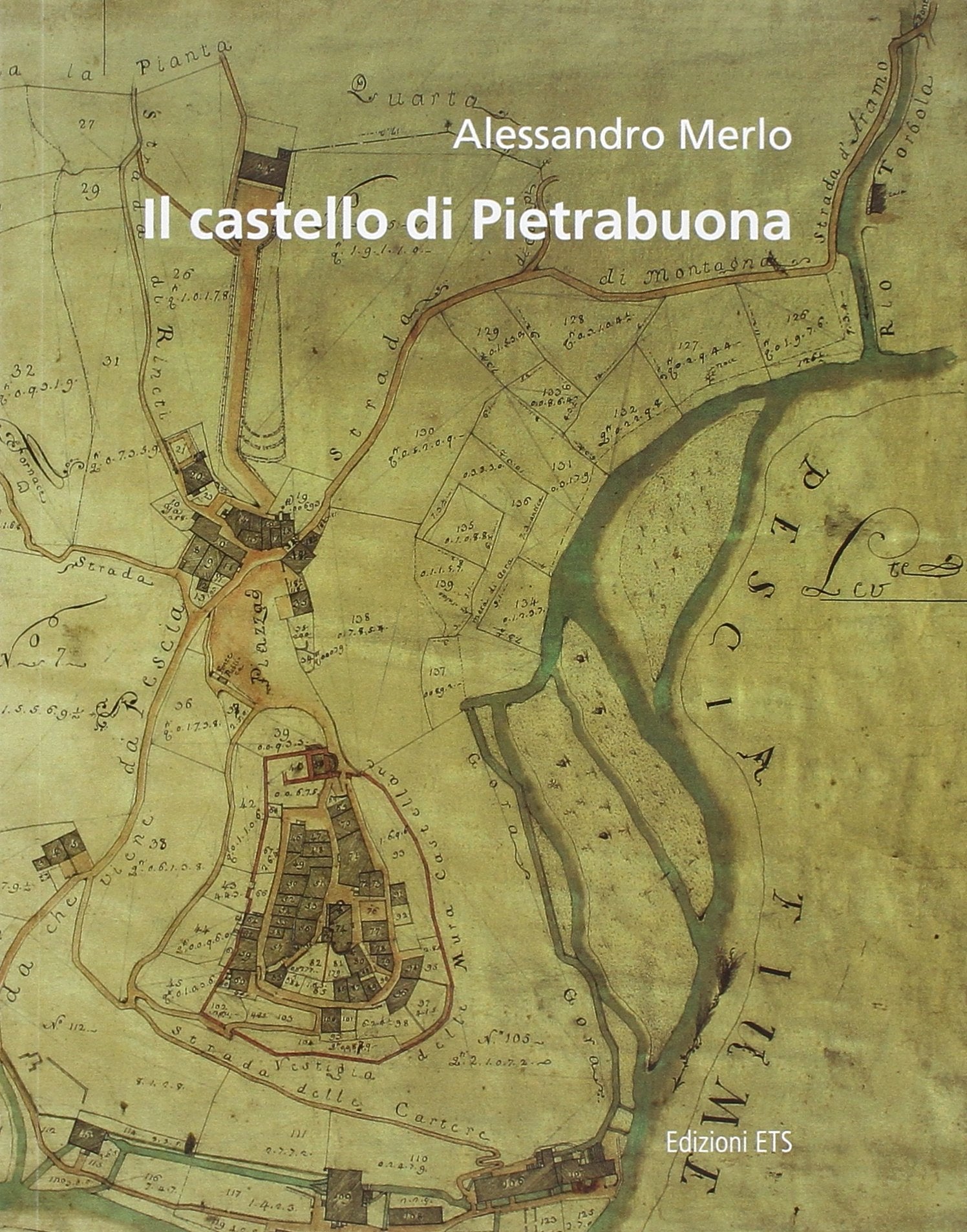 Il castello di Pietrabuona. Con DVD-ROM (Quaderni di rilievo urbano) Architecture