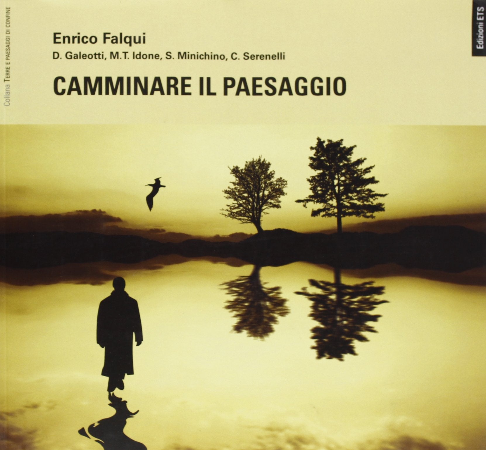 Camminare il paesaggio book