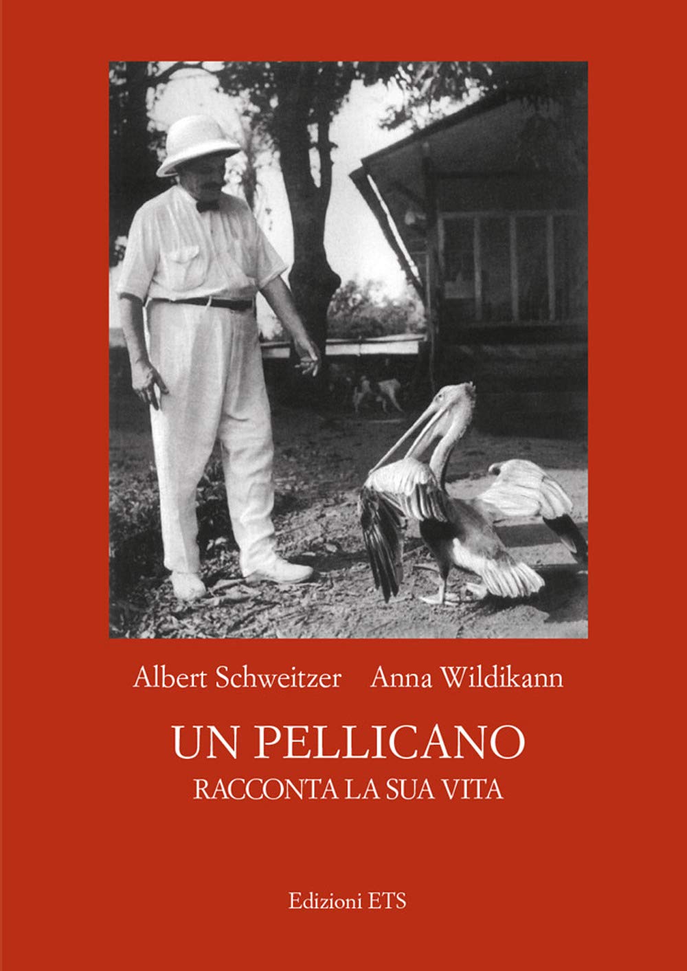 Un pellicano racconta la sua vita book