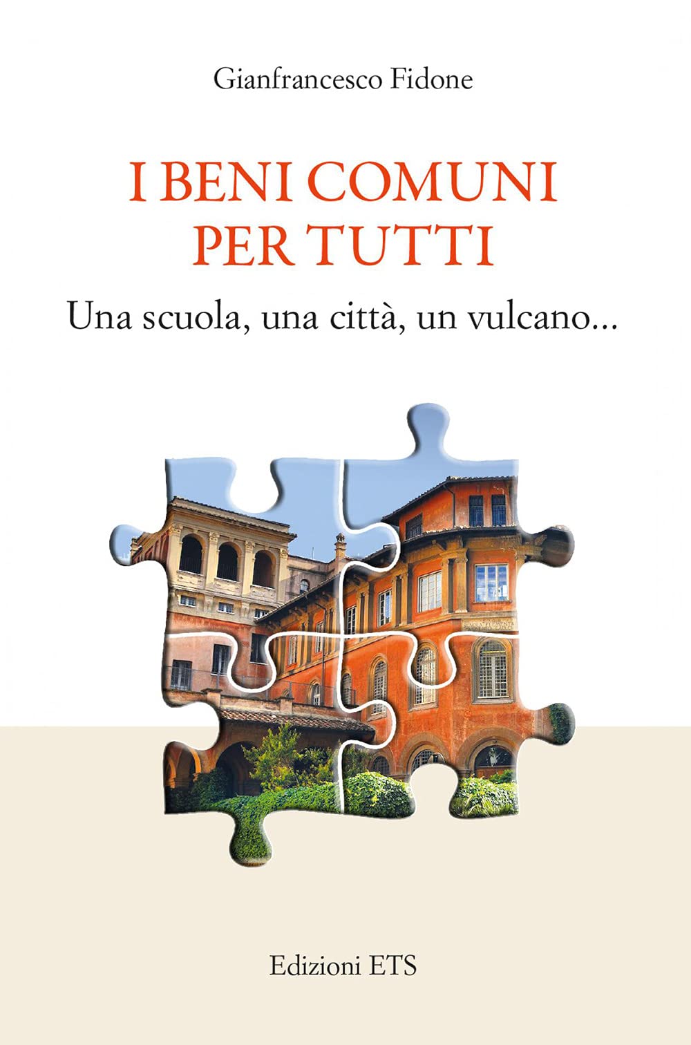 I BENI COMUNI book