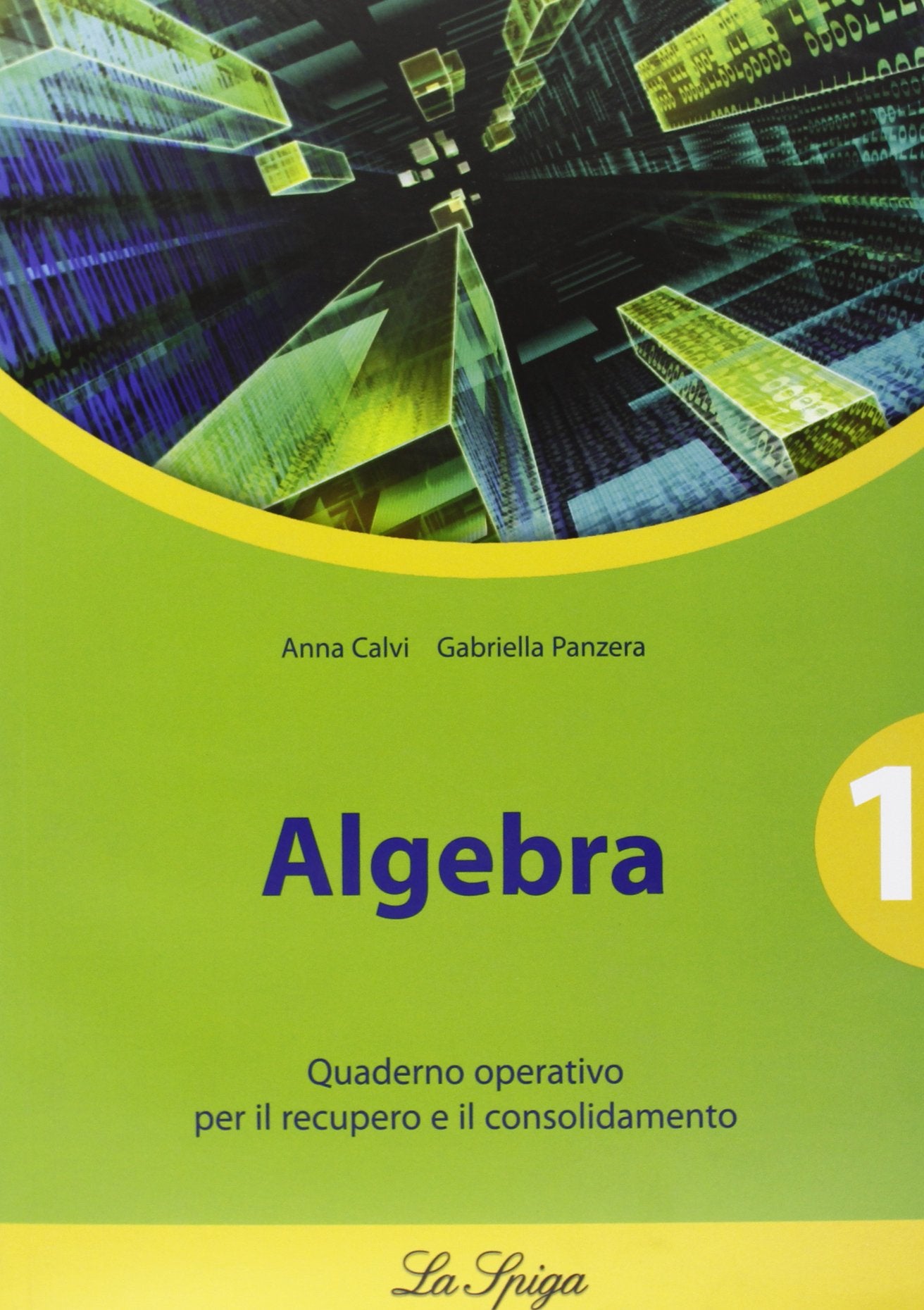 Algebra. Quaderno operativo. Per le Scuole superiori (Vol. 1) book