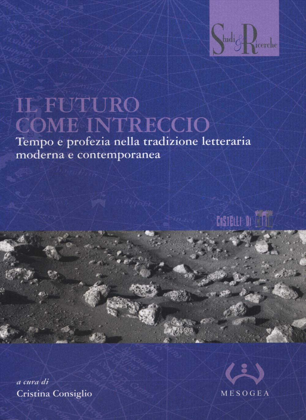 Il futuro come intreccio. Tempo e profezia nella tradizione letteraria moderna e contemporanea book