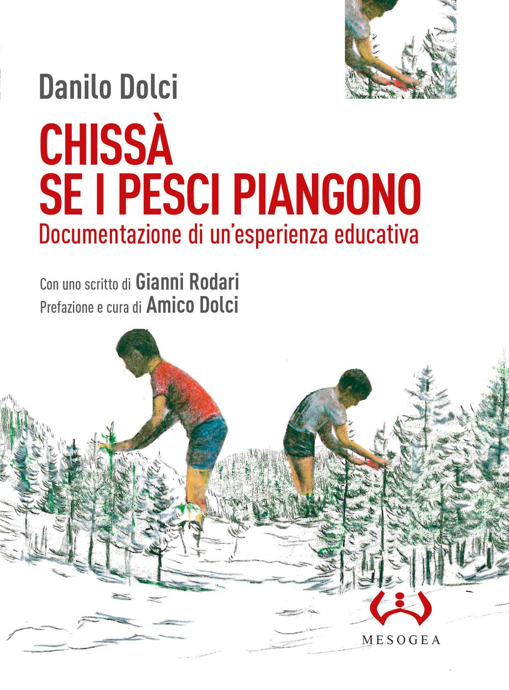 Chissà se i pesci piangono. Documentazione di un’esperienza educativa book