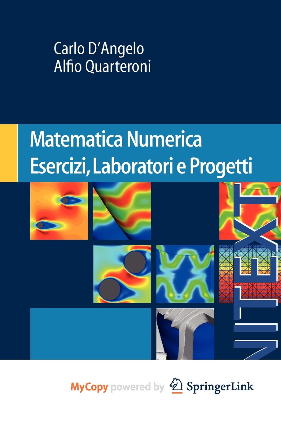 Matematica Numerica Esercizi, Laboratori e Progetti (Italian Edition) Computer Science