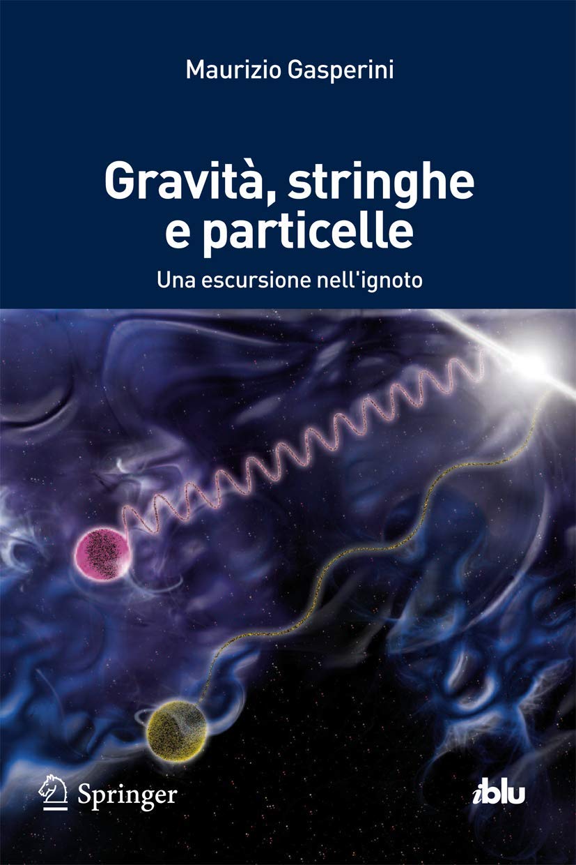 Gravità, Stringhe E Particelle: Una Escursione Nell'ignoto book