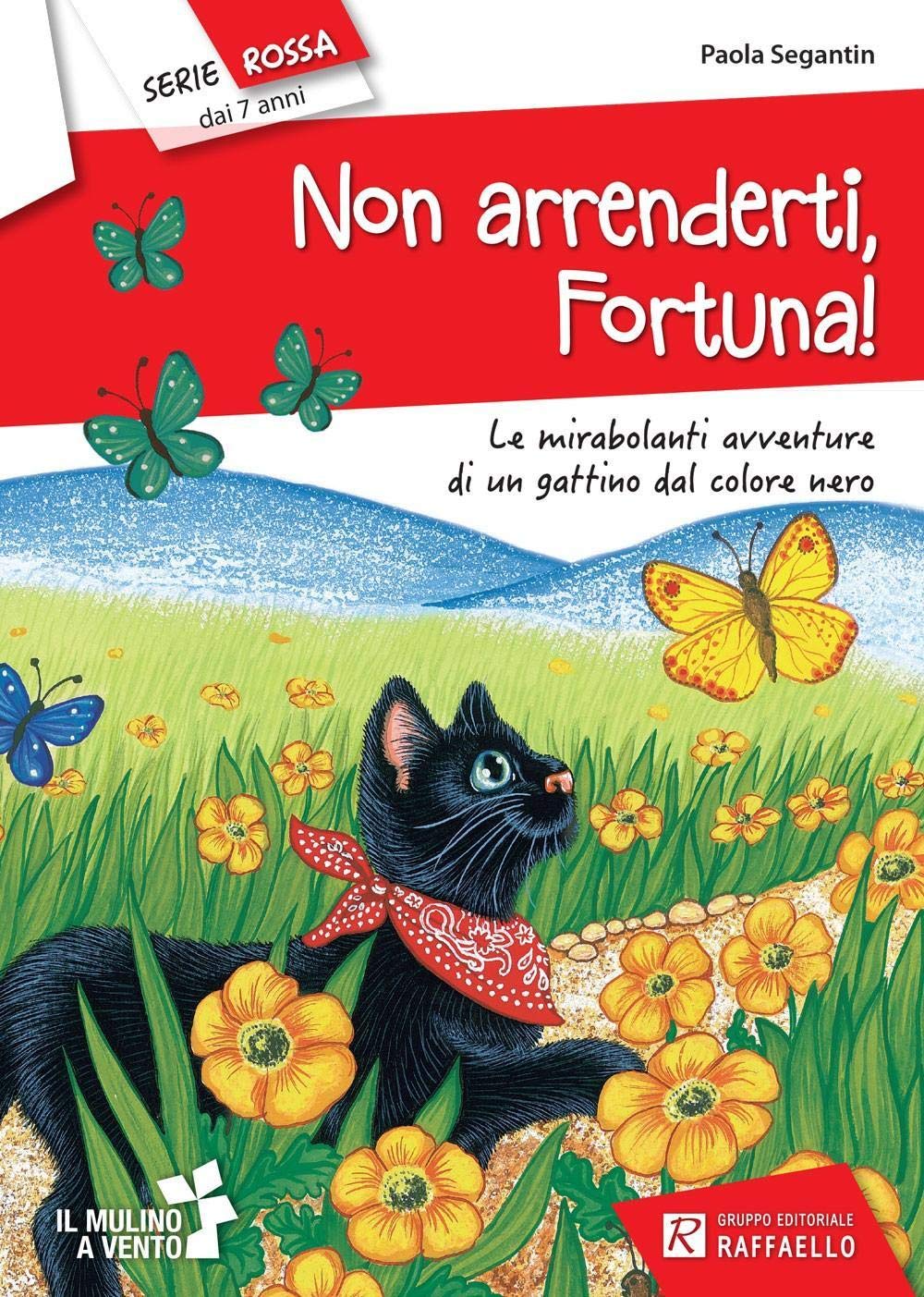 Non Arrenderti, Fortuna! (Il mulino a vento. Serie rossa) Contemporary literature