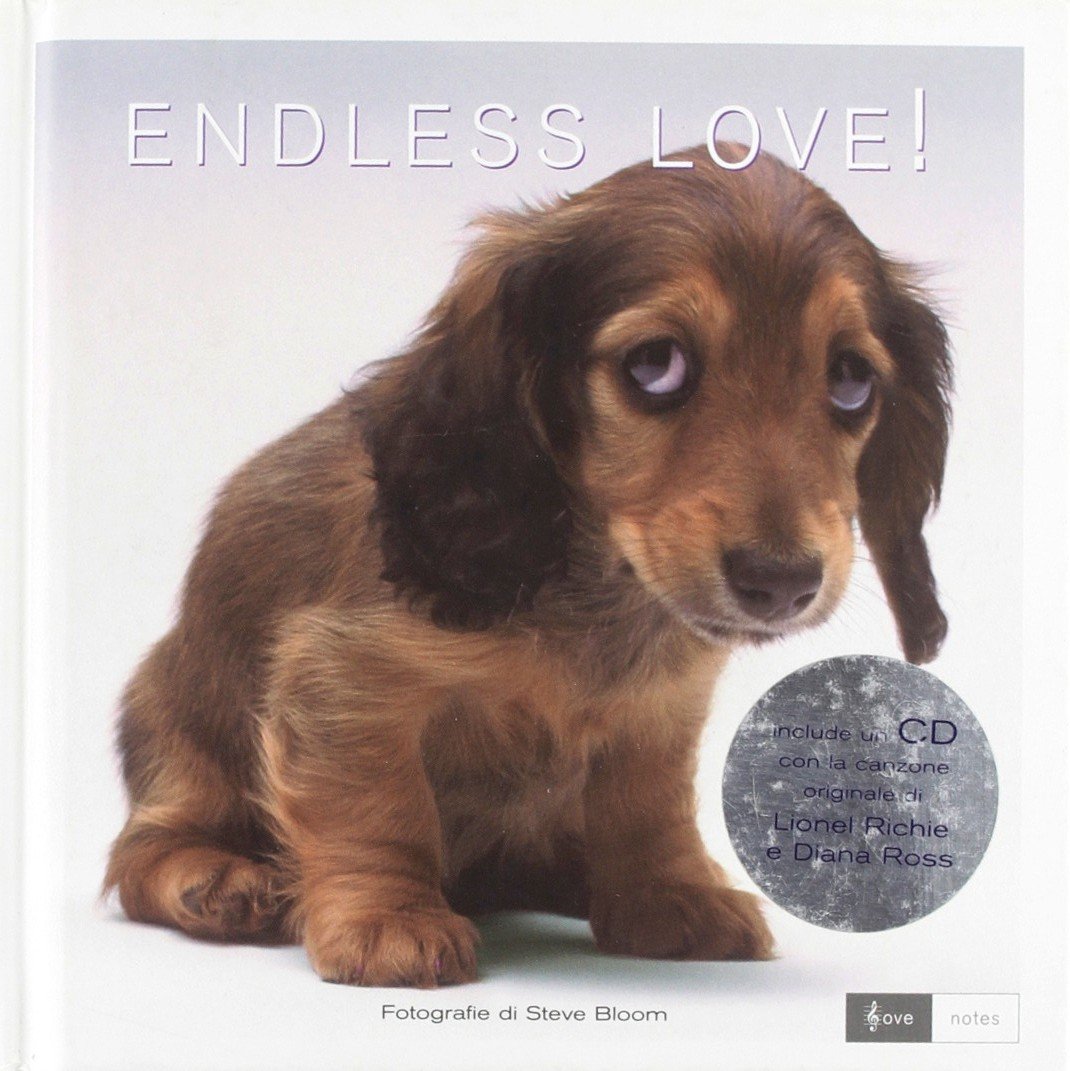 Endless love! Ediz. italiana e inglese. Con CD Audio (Love notes) Film, Art & Culture