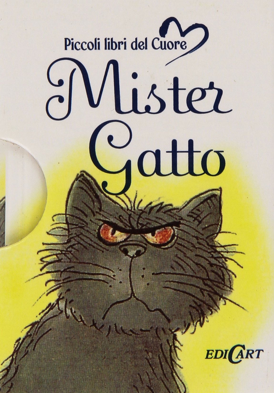 Mister gatto. Ediz. illustrata (Piccoli libri del Cuore) Contemporary literature