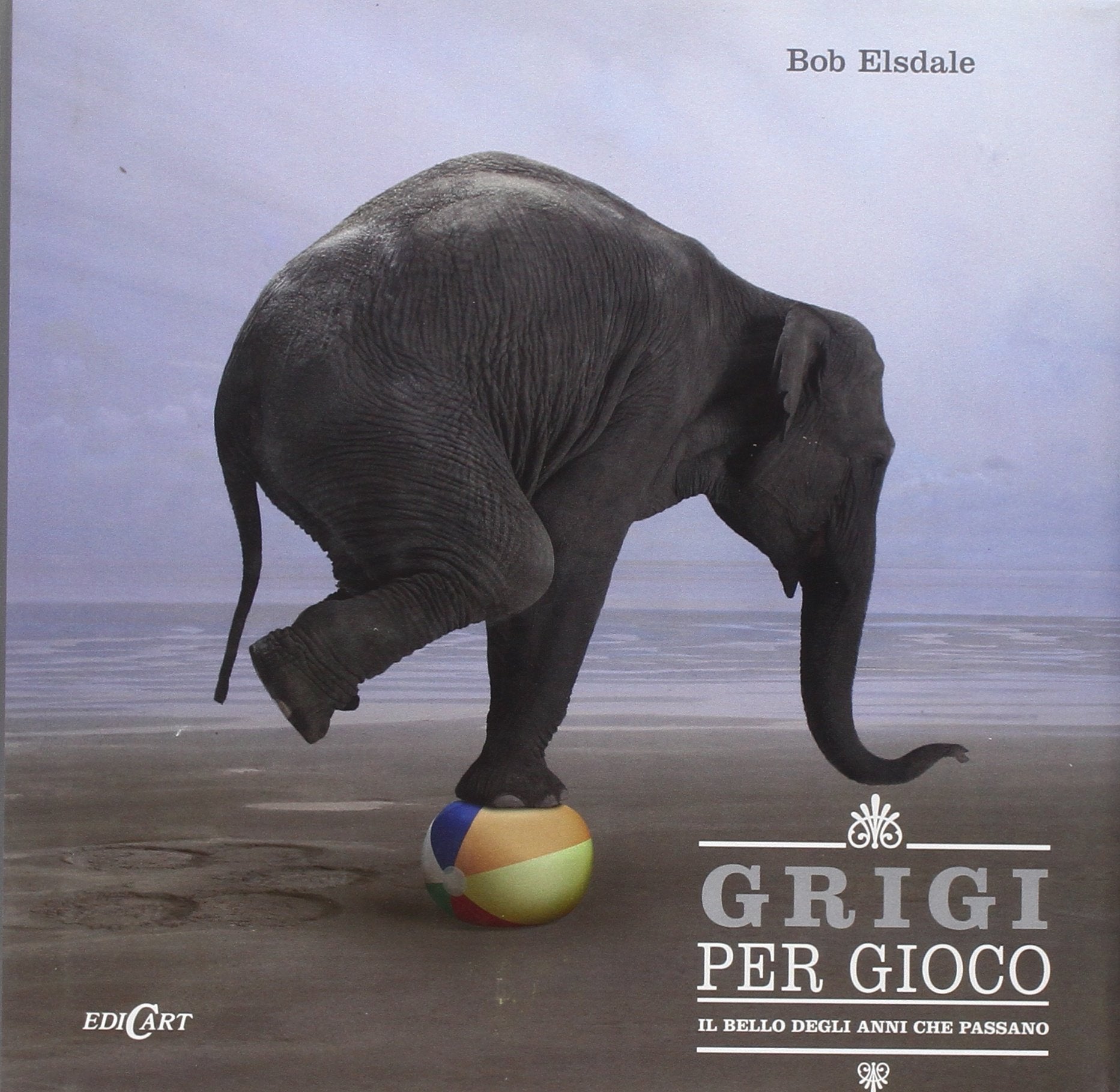 Grigi per gioco. Il bello degli anni che passano. Ediz. illustrata book