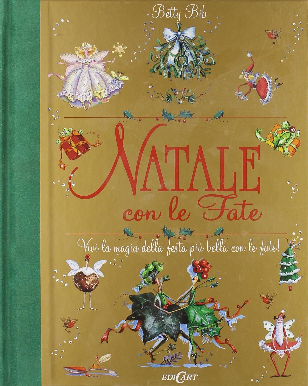 Natale con le fate. Ediz. illustrata Non-fiction