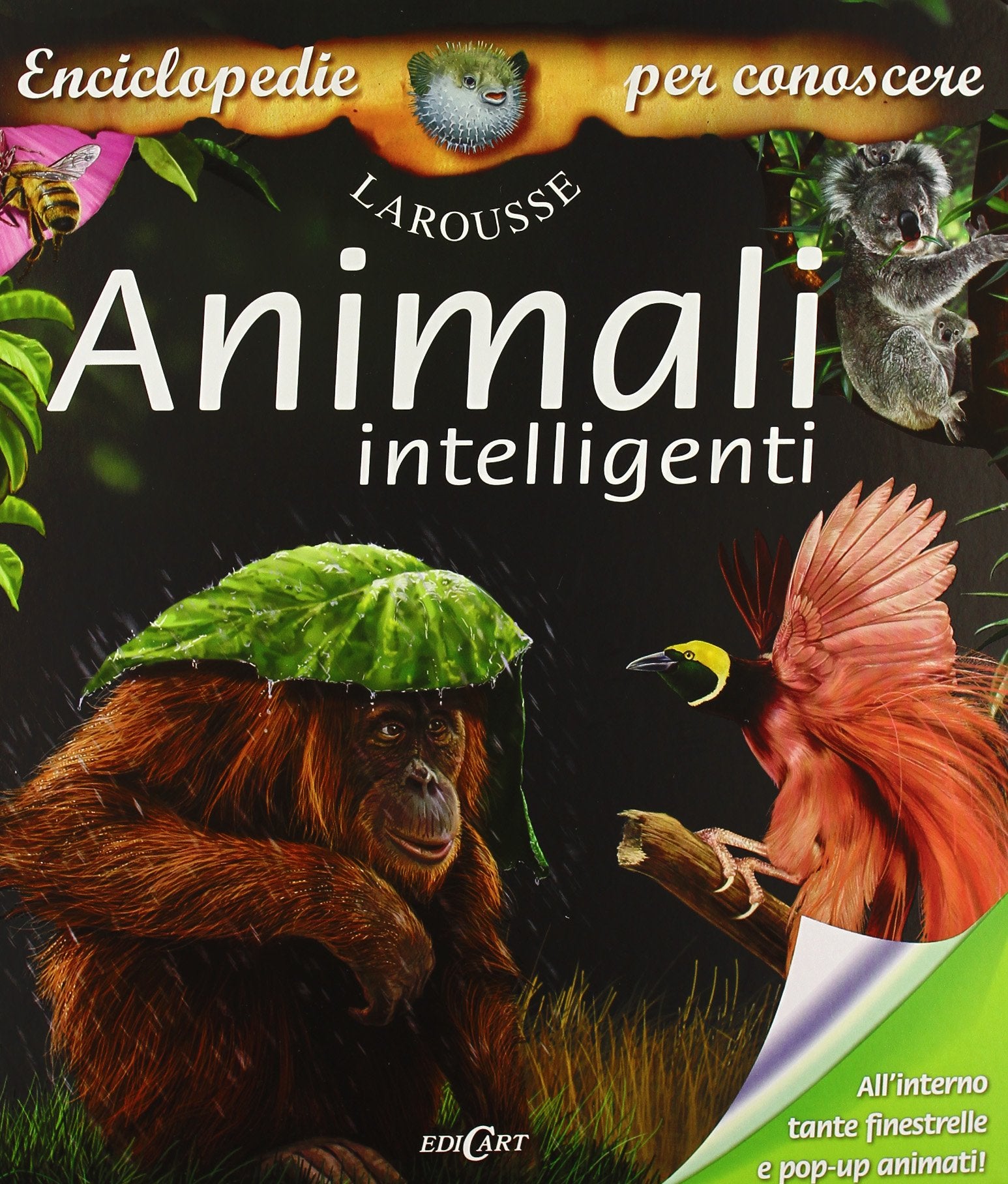 Animali intelligenti. Ediz. illustrata book