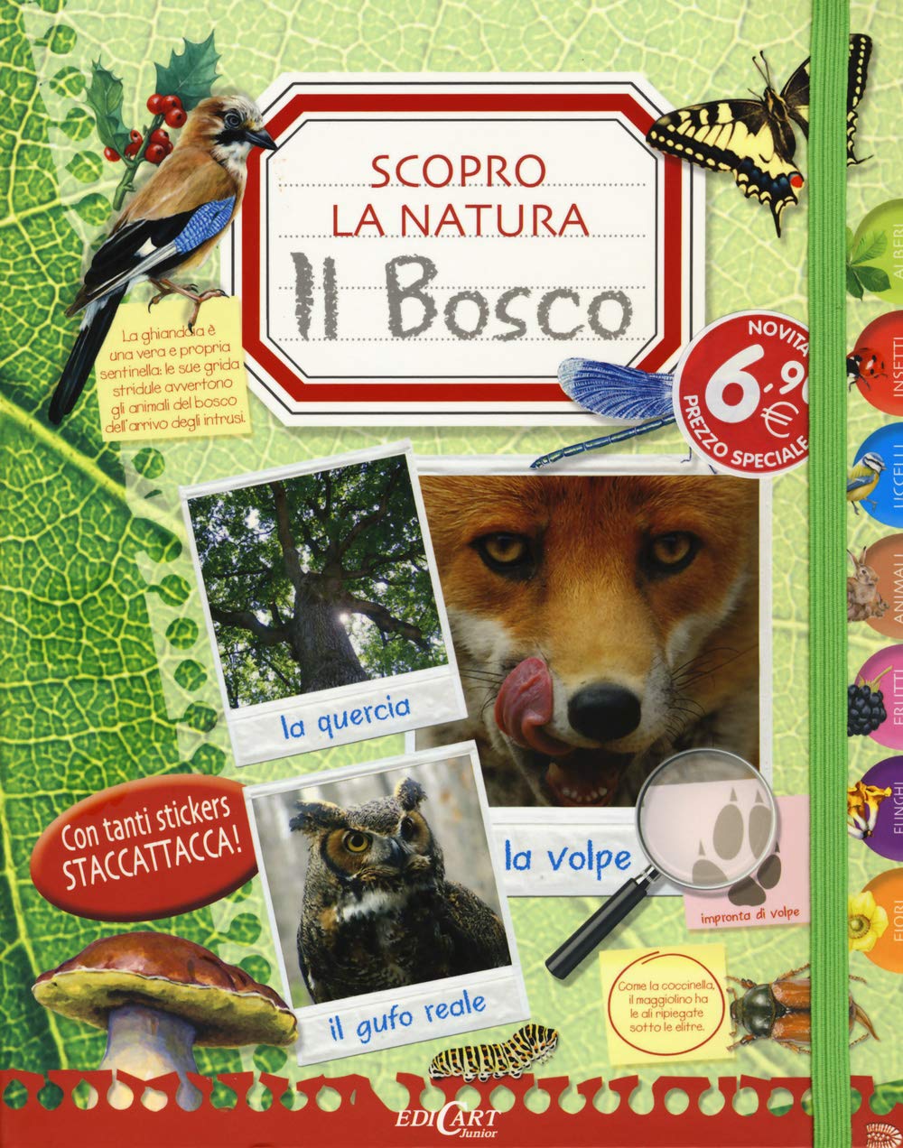 Il bosco. Scopro la natura. Con adesivi. Ediz. illustrata book