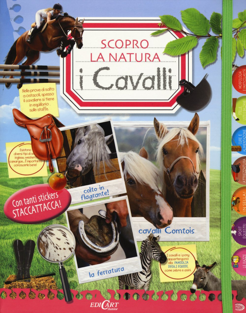 I cavalli. Scopro la natura. Con adesivi book