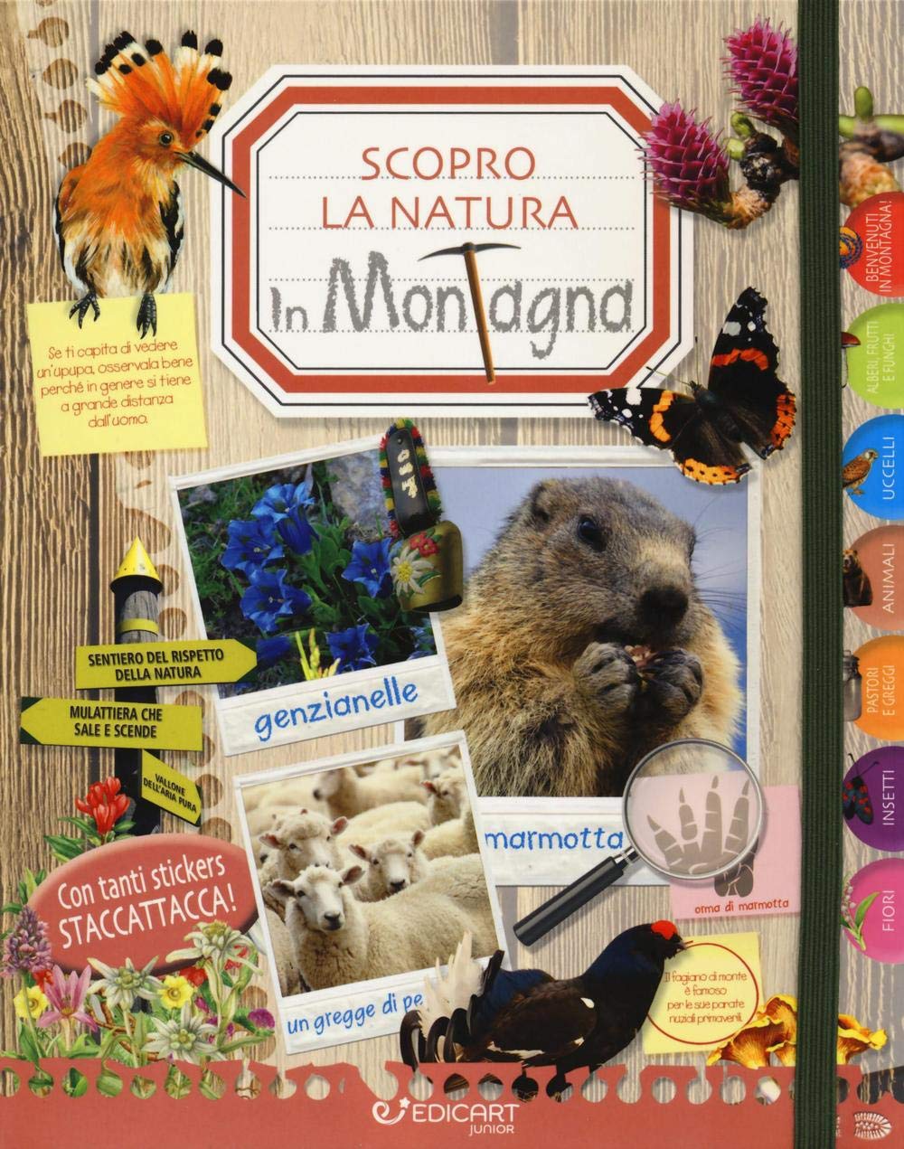 In montagna. Scopro la natura. Con adesivi Non-fiction