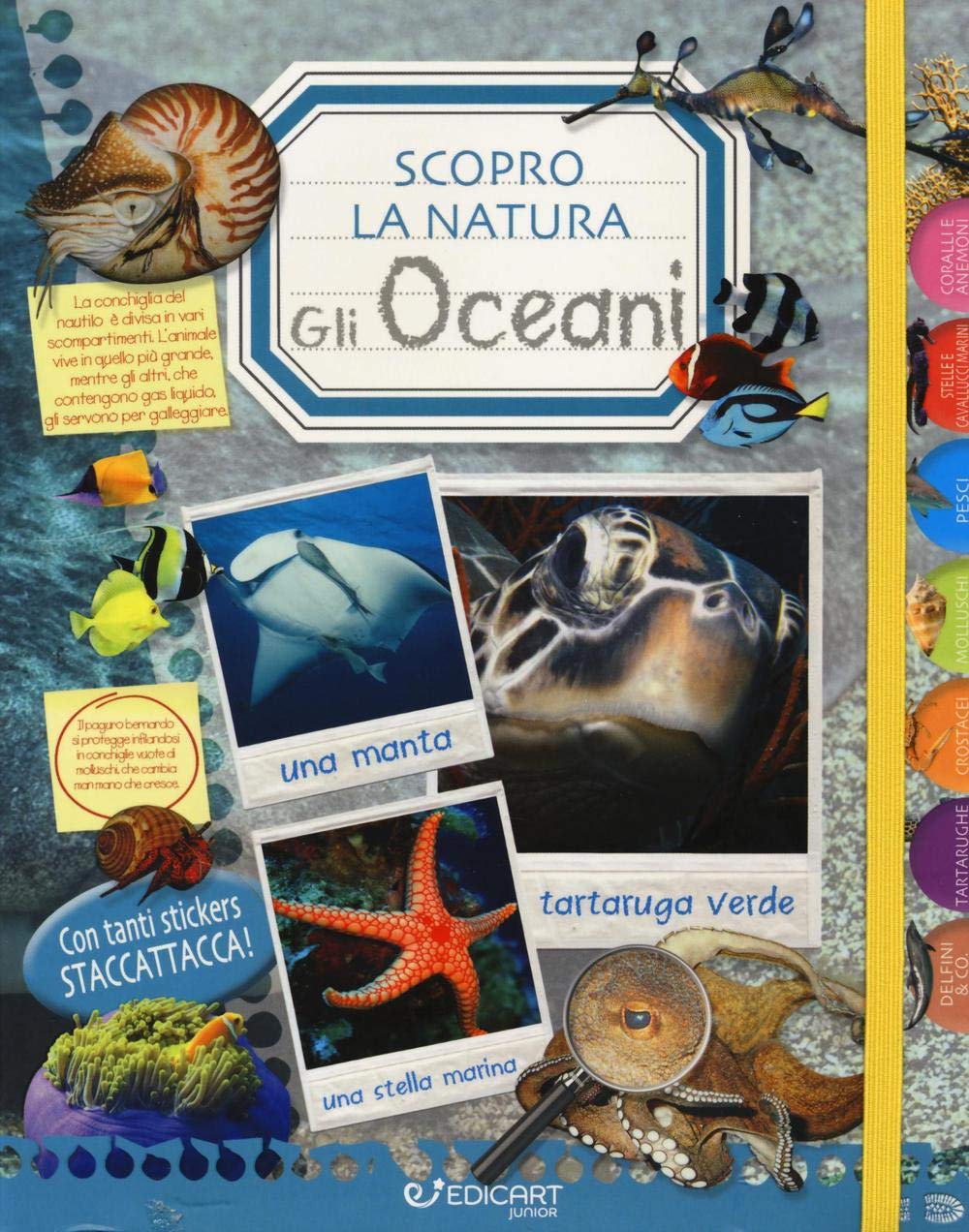 Gli oceani. Scopro la natura. Con adesivi Non-fiction