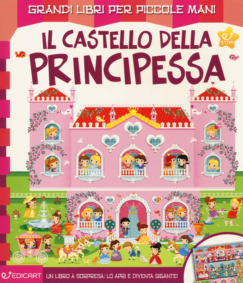 Il castello della principessa. Ediz. a colori book