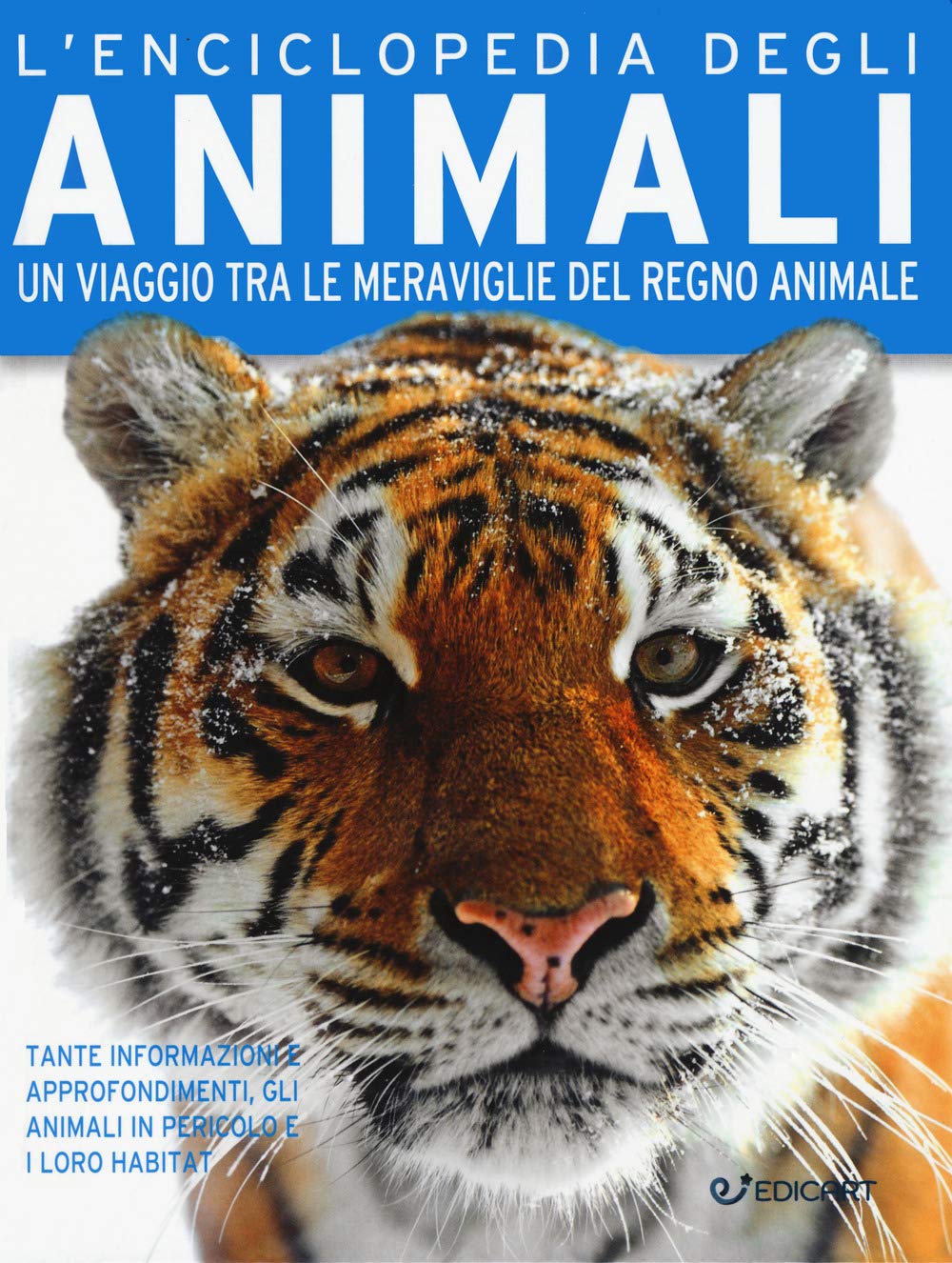 L' enciclopedia degli animali. Un viaggio tra le meraviglie del regno animale Study Guides