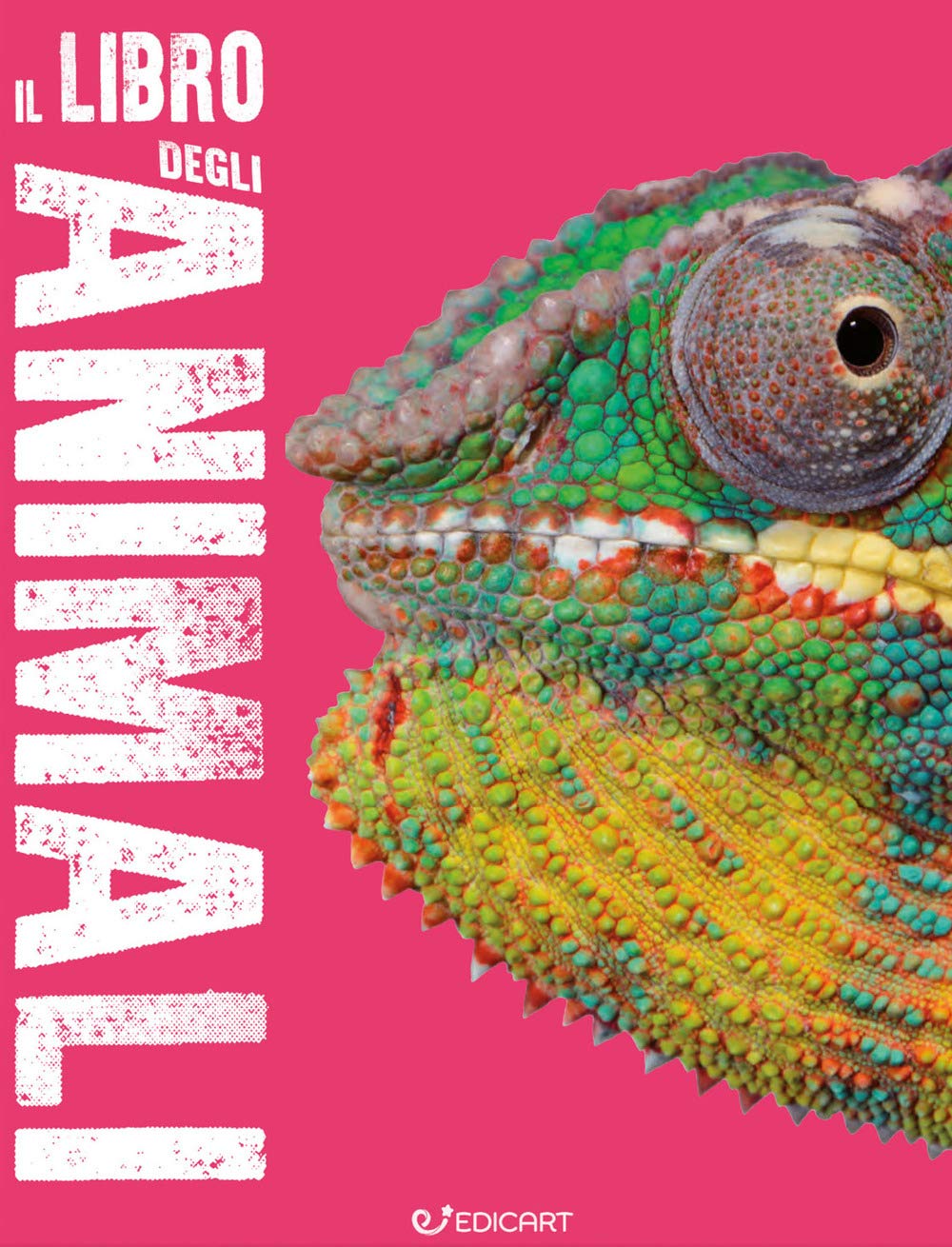 Il libro degli animali. Scoprimondo. Ediz. a colori book