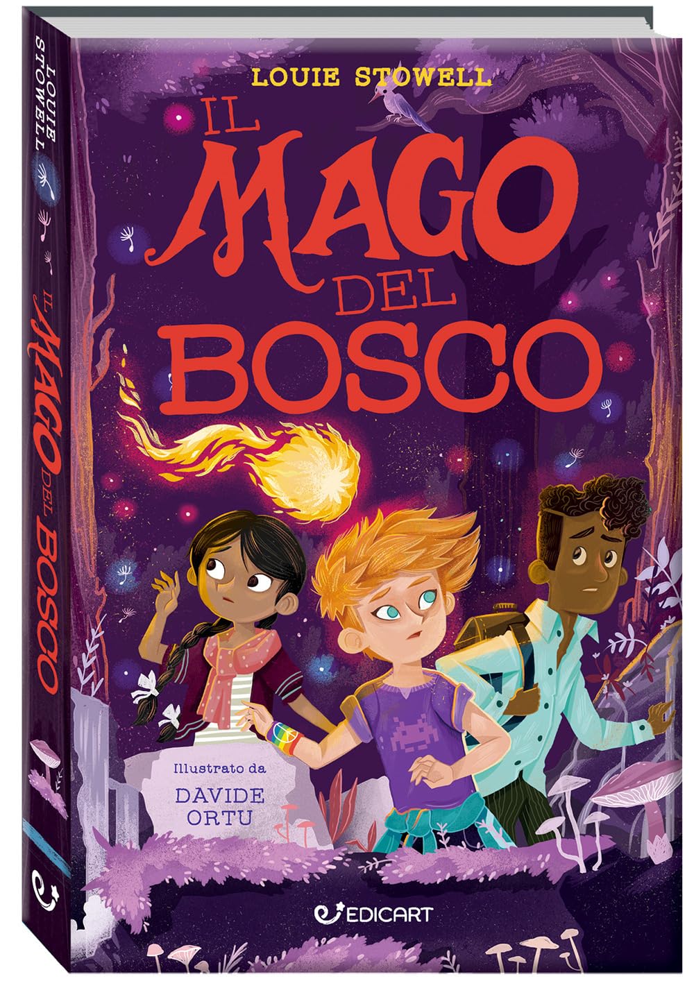 Product Image: Il mago del bosco